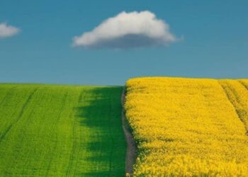 Закон № 3050-ІХ: звільнення від плати за землю