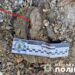 На обмілілих берегах Дніпра в Запоріжжі є небезпечні знахідки | Новини Запоріжжя — кримінал