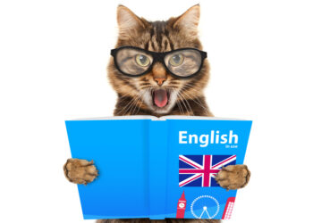 Як гарну ідею перетворити на черговий «гіперлуп» або про проблеми тотальної англізації України – Новини Кам’янське