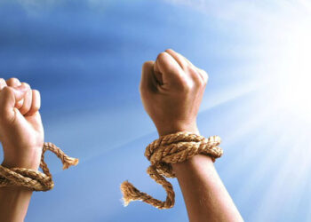 Центр лечения наркозависимых Rehab