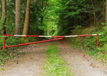 На Поліссі заборонили відвідували ліси на глибині 30 км до кордону з Білоруссю