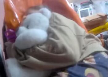 На пожежі у Кропивницькому врятували 11-річну дівчинку