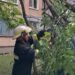 Негода пронеслася Кропивницьким, повалявши чимало дерев