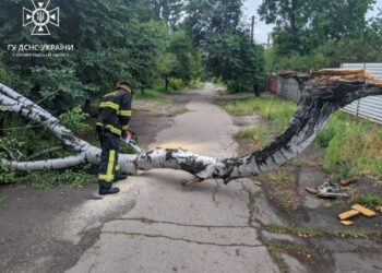 Негода завдала чимало клопоту рятувальникам і мешканцям Кропивницького та Олександрії