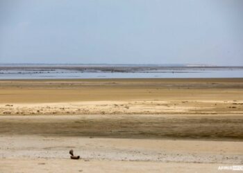 Оборонці розповіли про ситуацію на Каховському водосховищі