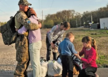 Про нові свята, закони виживання та чистоту вдома – Новини Кам’янське
