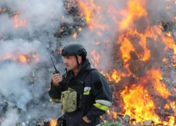 У Херсоні масштабна пожежа на незаконному сміттєзвалищі. ФОТО