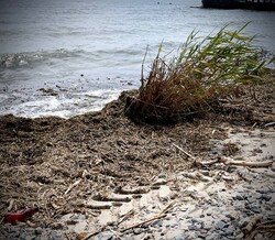 В Одесі почали розчищати пляжі від наносів з Дніпра після підриву Каховської ГЕС