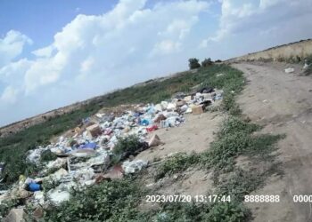 В Одеській області масово зрубили дерева в нацпарку (фото) — Одеса