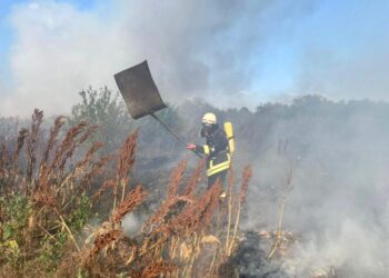В одинадцяти населених пунктах Херсонщини виникли пожежі через підпал сухостою