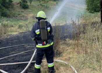 В Олександрії на вулиці Вибрика зайнявся 6-квартирний будинок