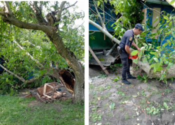Дерево заблокувало вхідні двері будинку: на Дубенщині негода наробила біди