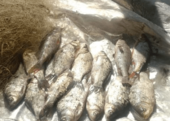 Херсонський рибоохоронний патруль затримав браконьєрів