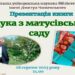 Яблука з матусівського саду