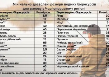 На Дністровському лимані знов дозволили рибалити, але є умови — Одеса