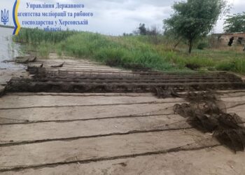 На Херсонщині заборонено любительський та промисловий вилов річкових раків