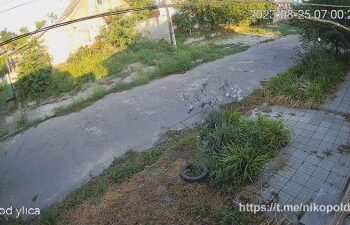 Никополь. Утро сегодня. Ворона предупреждает об обстрелах (и это не первый раз) » газета «Доброго вечора, ми з Нікополя! Україна!!! UA»