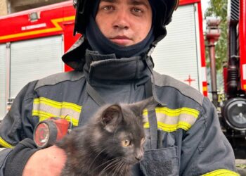 Під час гасінні пожежі в Одесі вдалось врятувати одну людину та 14 тварин (фото, відео) — Одеса