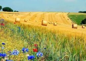 Погода на 6 серпня