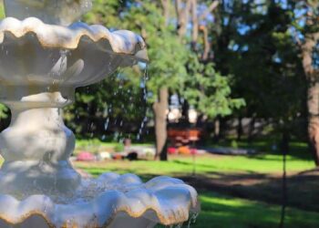 Попри обстріли працівники ХДУ продовжують доглядати за парковим містечком вишу