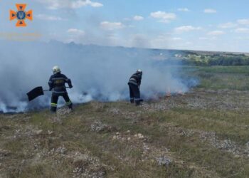 Протягом доби, що минула, вогнеборцями ліквідовано 11 займань різного характеру