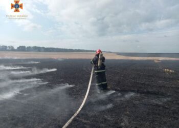 Протягом доби вогнеборці ліквідували 18 пожеж в екосистемі