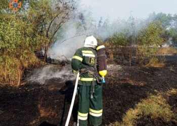 Рятувальники 9 разів залучались на гасіння пожеж сухостою на відкритих територіях