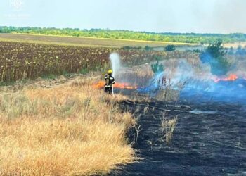Рятувальники ліквідували 14 пожеж сухої трави та сміття