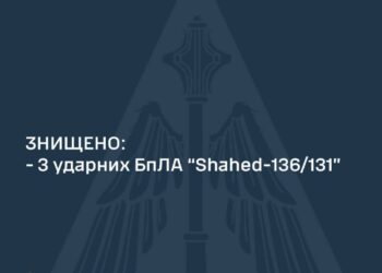 Сили ППО знищили три ворожі безпілотники у Запорізькій області