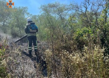 Вогнеборцями ліквідовано 8 займань на відкритій території