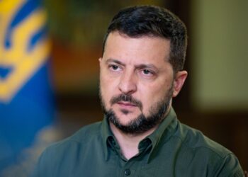 Володимир Зеленський високо оцінив рівень співпраці Миколаєва з Данією