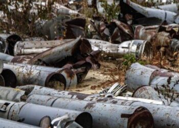 Шкода довкіллю Запорізької області склала понад 12 млрд грн | Новини Запоріжжя — кримінал