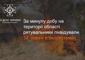 Поблизу Запоріжжя продовжуються пожежі в екосистемах | Новини Запоріжжя — кримінал