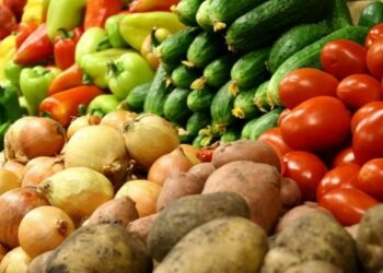 Чи чекати українцям подорожчання овочів восени – Новини Кам’янське