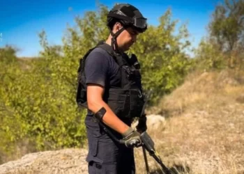 На деокупованій Херсонщині сапери осбтежили майже 88,5 тисяч гектарів території