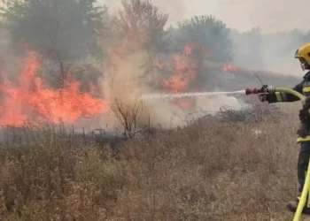 На Херсонщині вогнеборці ліквідували п`ять пожеж