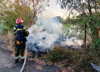 На території Кіровоградської області рятувальники ліквідували 17 пожеж в екосистемі