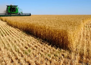 Уряд продовжив терміни виплати компенсацій за втрачений врожай через теракт на Каховській ГЕС