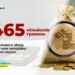 Військовий збір: внесок запоріжців перевищив 465 млн грн