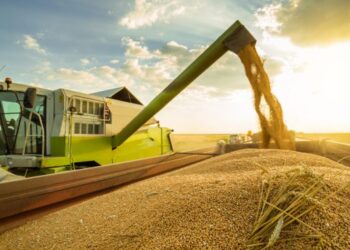 Словаччина готова продовжити заборону на імпорт сільськогосподарської продукції з України – ЭКОНОМИКА