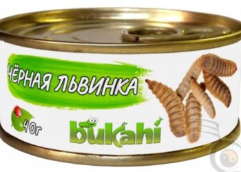 В росії дозволили переробку личинок і яєць мух – ЭКОНОМИКА
