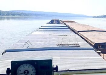 Дунайське пароплавство поновило навігацію на Середньому Дунаї – ЭКОНОМИКА