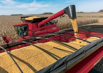 Кількість вагонів із зерном у напрямку портів Великої Одеси за тиждень збільшилася більш ніж на тисячу одиниць – ЭКОНОМИКА