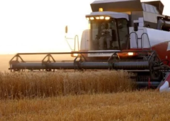 Аграрії, які постраждали внаслідок бойових дій, можуть отримати фінансову домопогу у сумі 75 тисяч доларів