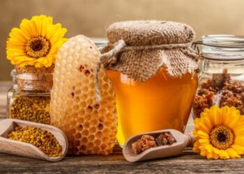 Стало відомо, скільки Україна заробила на експорті меду – ЭКОНОМИКА