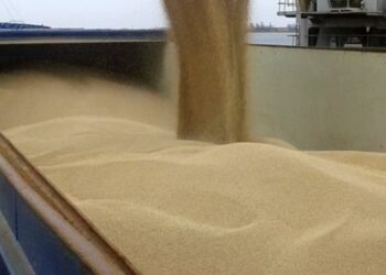 Українські порти збільшили перевалку зерна на 70% з початку року – ЭКОНОМИКА