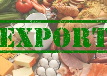 Україна експортувала продовольства на $17,7 млрд – ЭКОНОМИКА