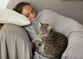 Експерти відкрили секрет якісного нічного сну – Экономика