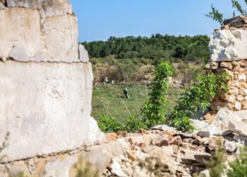 Гіркі кавуни Білогірки — Херсон