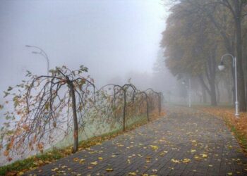 Якою буде погода у Запоріжжі — що прогнозують синоптики  | Новости Запорожья